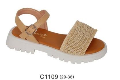 C1109